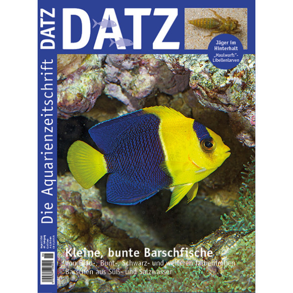 DATZ 2016 - 08 (August)