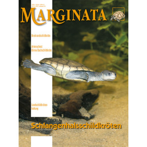 Marginata 49 - Schlangenhalsschildkröten