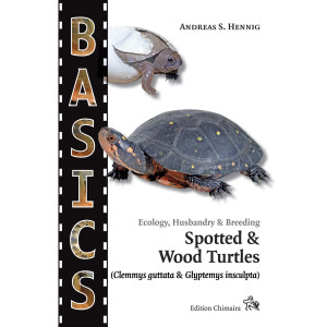 Spotted & Wood Turtles (Clemmys guttata &...
