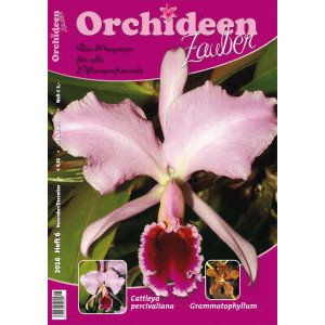 Orchideen Zauber 6 (November/Dezember 2016)