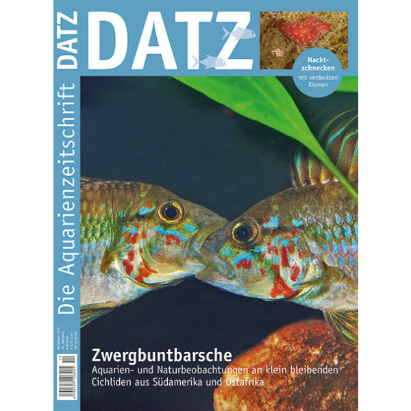 DATZ 2016 - 11 (November) box