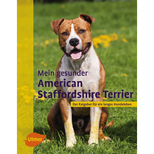 American Staffordshire Terrier, Mein gesunder