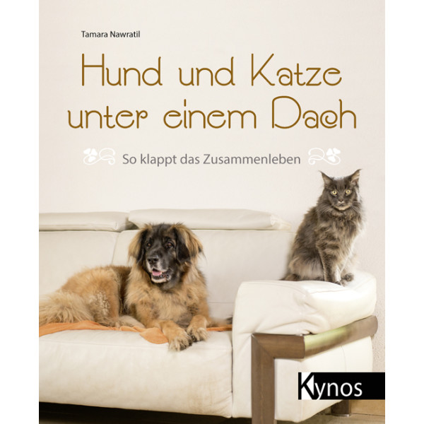 Hund und Katze unter einem Dach