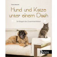 Hund und Katze unter einem Dach