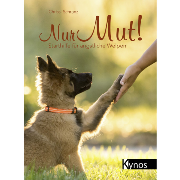 Nur Mut! - Starthilfe für ängstliche Welpen