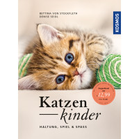 Katzenkinder