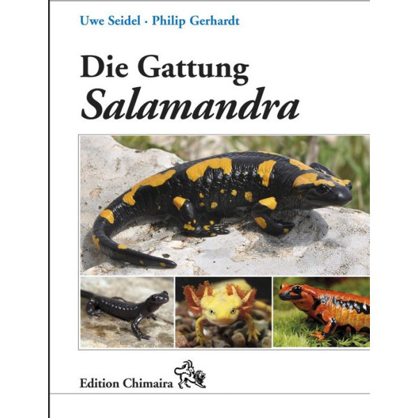 Die Gattung Salamandra