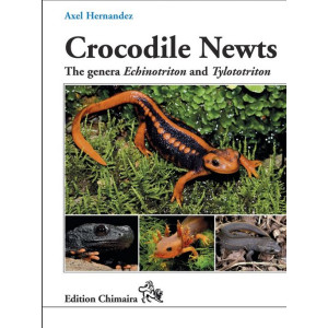 Crocodile Newts - The Primitive Salamandridae of Asia