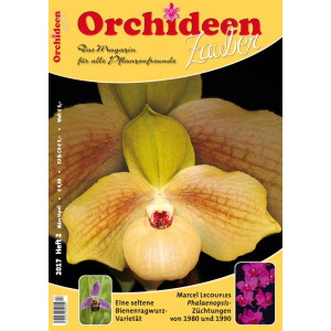 Orchideen Zauber 2  (März/April 201