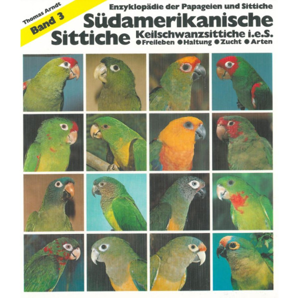 Südamerikanische Sittiche
