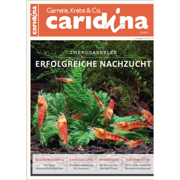 Caridina 2/2017