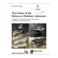 Snakes of the Molucca Islands