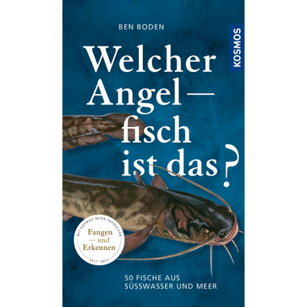 Welcher Angelfisch ist das?