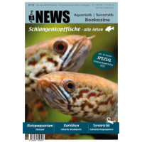 NEWS Bookazine Nr. 3 (Herbst 2017)
