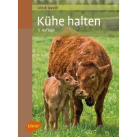 Kühe halten