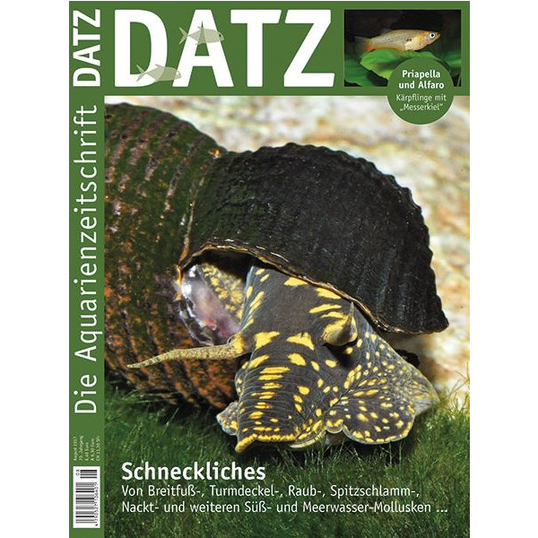 DATZ 2017 - 08 (August)