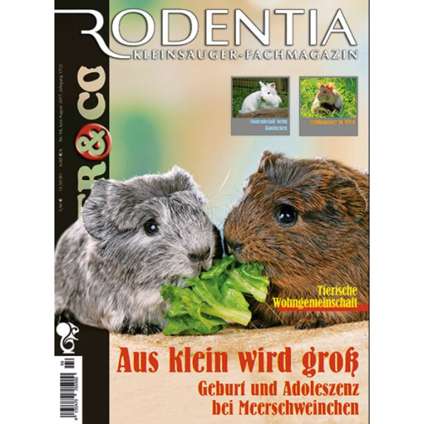 Rodentia 94 -  Aus klein wird gro&szlig;