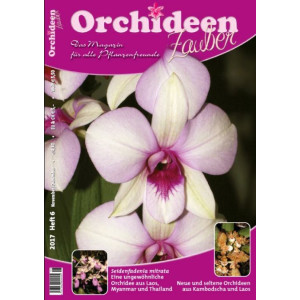 Orchideen Zauber 6 (November/Dezember 2017)