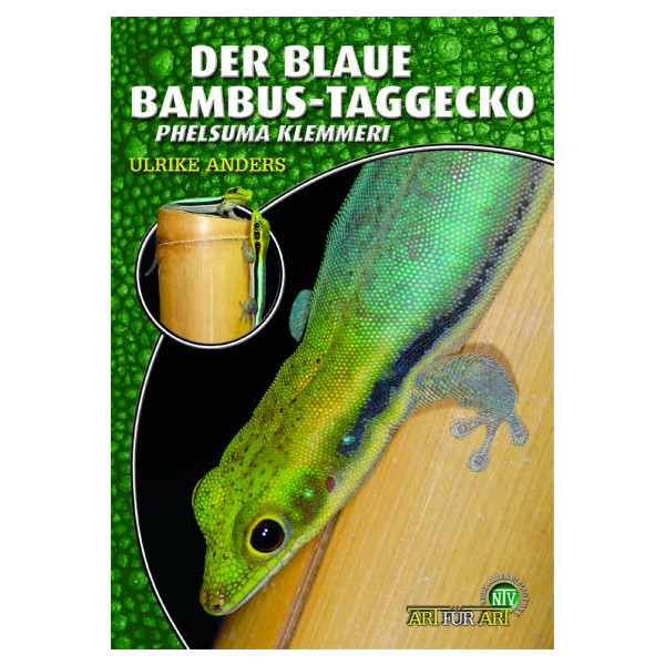 Der Blaue Bambus-Taggecko