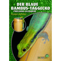 Der Blaue Bambus-Taggecko