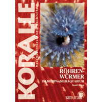 Röhrenwürmer im Meerwasseraquarium
