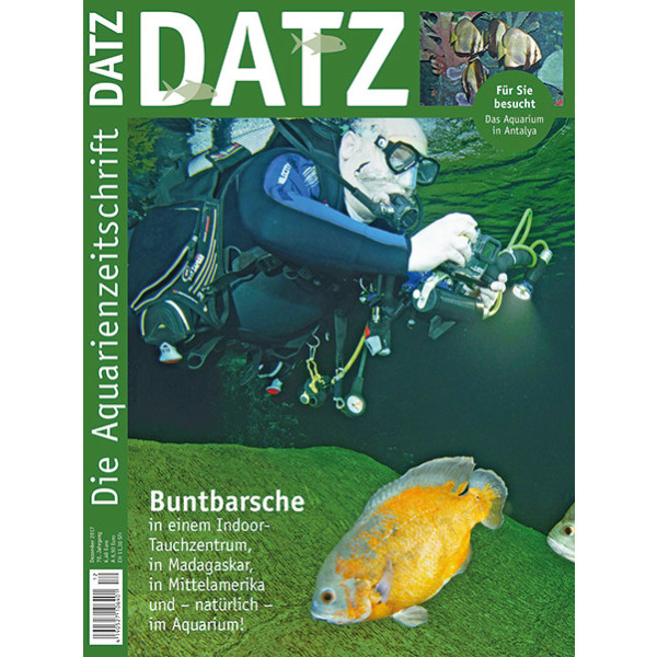 DATZ 2017 - 12 (Dezember)