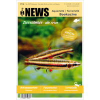 NEWS Bookazine Nr. 4 (Frühjahr 2018)
