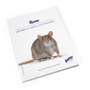 Ratte - artgerecht halten und ernähren