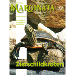 Marginata 53 - Zierschildkr&ouml;ten