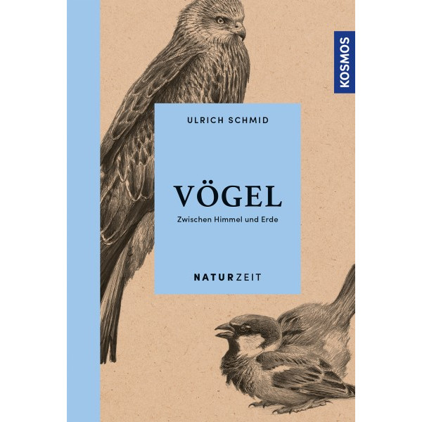 Vögel - Zwischen Himmel und Erde