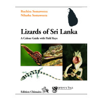 Lizards of Sri Lanka - A Colour Guide with Field Keys