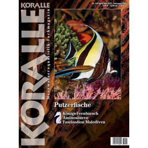 KORALLE 110 - Putzerfische (April/Mai 2018)