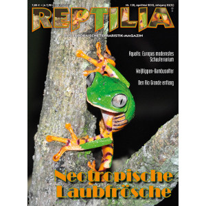 Reptilia 130 -  Neotropische Laubfrösche (April/Mai...