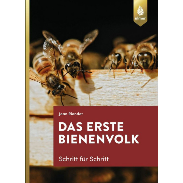 Das erste Bienenvolk – Schritt für Schritt