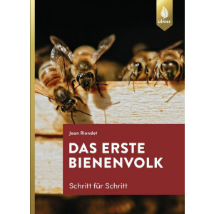 Das erste Bienenvolk – Schritt für Schritt