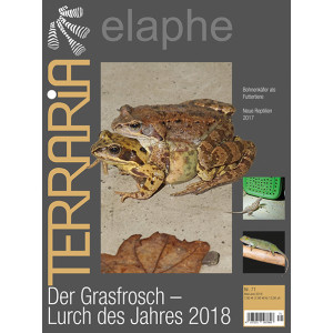 Terraria 71 - Der Grasfrosch - Lurch des Jahres 2018