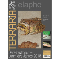 Terraria 71 - Der Grasfrosch - Lurch des Jahres 2018