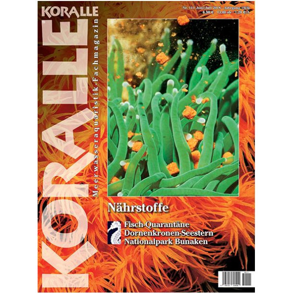 KORALLE 111 - Nährstoffe (Juni/Juli 2018)