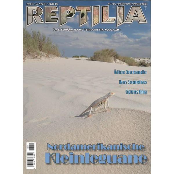 Reptilia 131 -  Nordamerikanische Kleinleguane (Juni/Juli 2018)