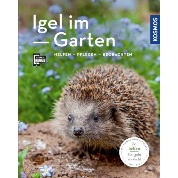Igel im Garten