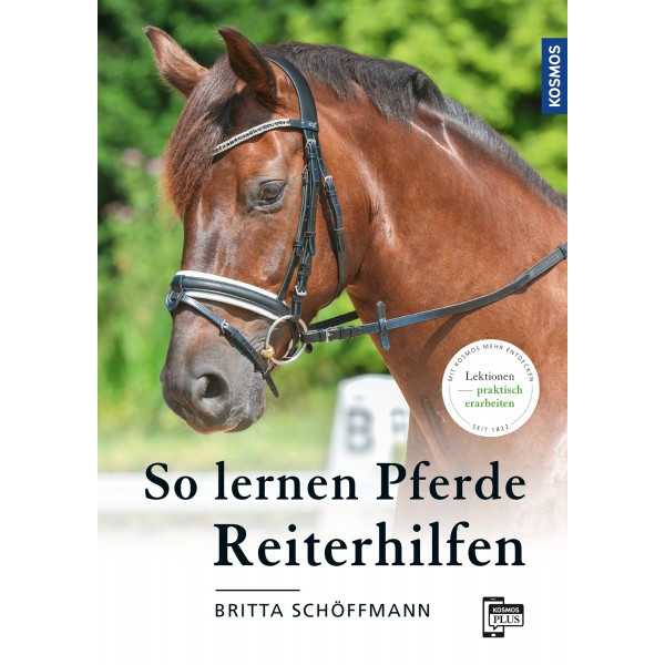 So lernen Pferde Reiterhilfen