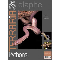Terraria 72 - Pythons