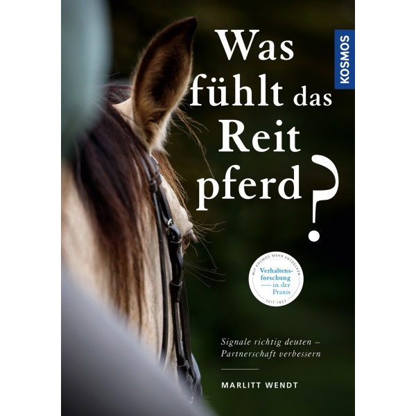Was fühlt das Reitpferd?