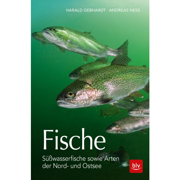Fische - Süßwasserfische sowie Arten der Nord- und Ostsee