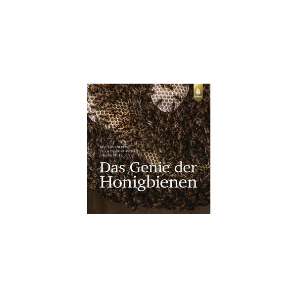 Das Genie der Honigbienen