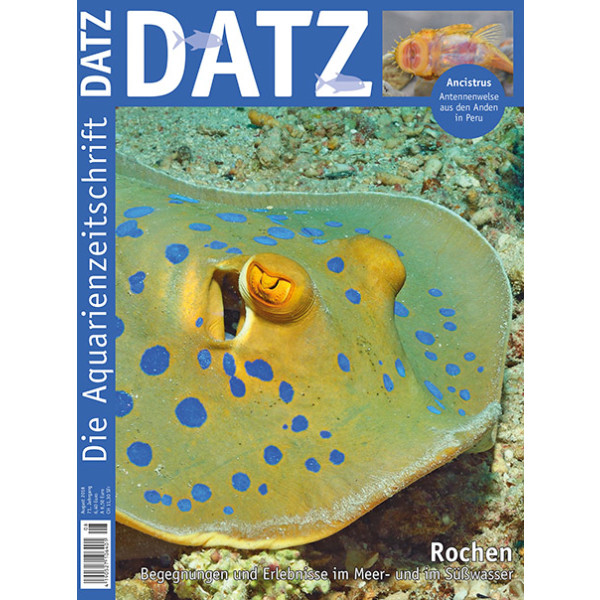 DATZ 2018 - 08 (August)