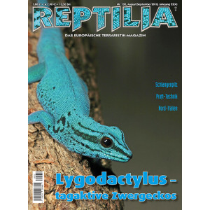 Reptilia 132 -  Lygodactylus – tagaktive...