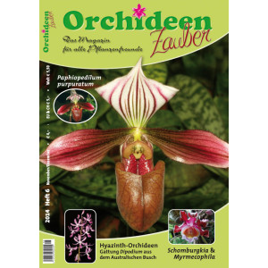 Orchideen Zauber 6 (November/Dezember 2014)