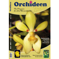 Orchideen Zauber 5 (September/Oktober 2014)