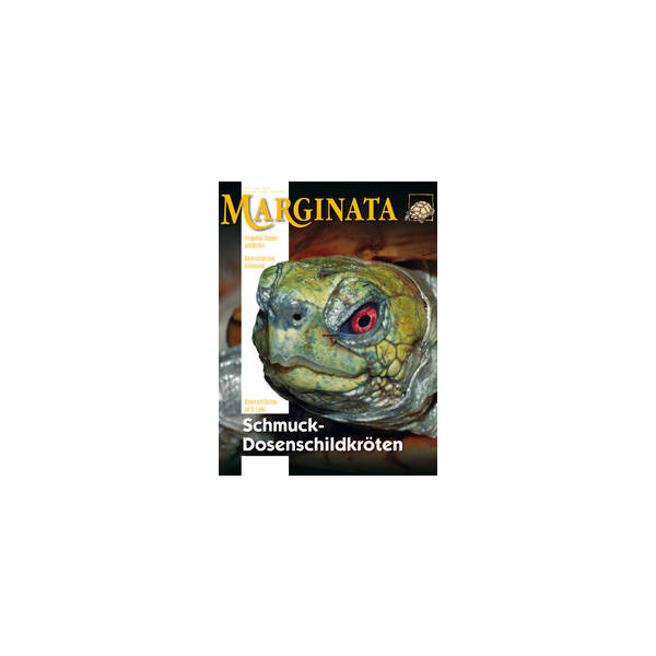 Marginata 42 - Schmuck-Dosenschildkröten